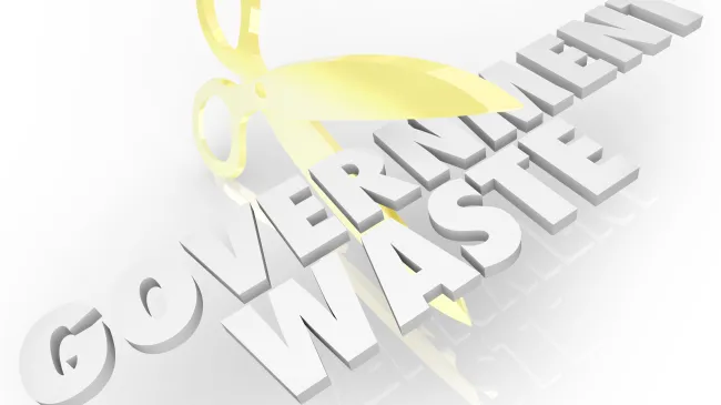 Government waste
